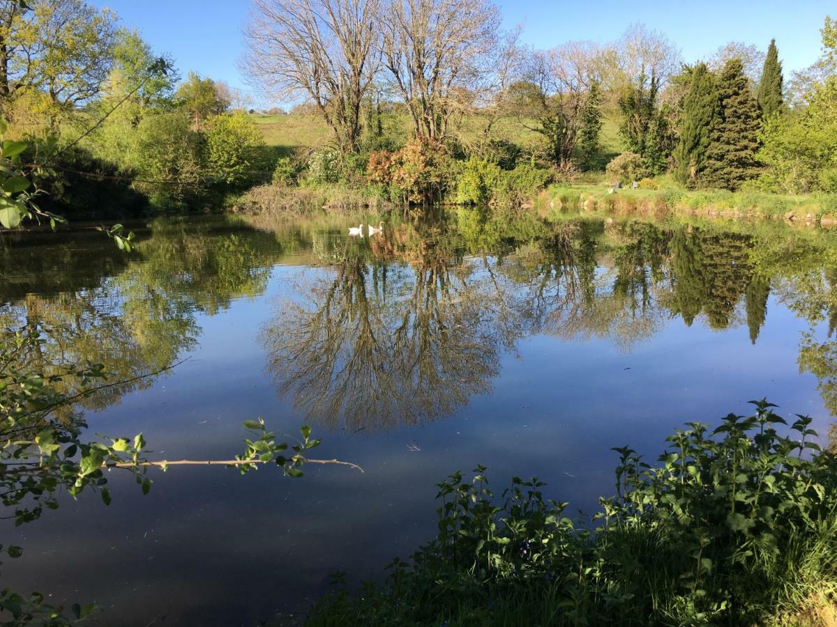 Affittacamere L'Enquenoiulle Basse Verdun-en-Lauragais Esterno foto