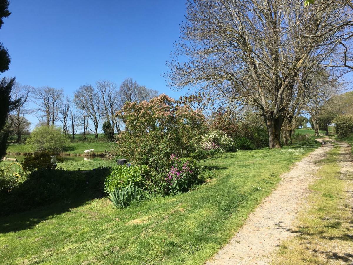 Affittacamere L'Enquenoiulle Basse Verdun-en-Lauragais Esterno foto