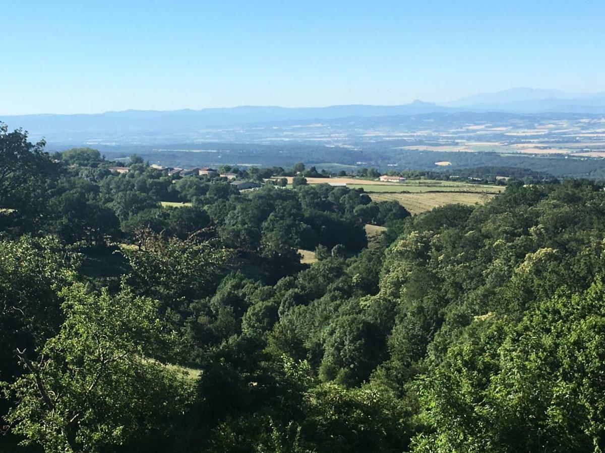 Affittacamere L'Enquenoiulle Basse Verdun-en-Lauragais Esterno foto