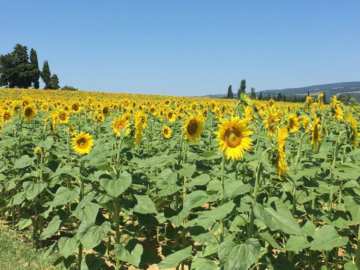 Affittacamere L'Enquenoiulle Basse Verdun-en-Lauragais Esterno foto